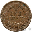 303. USA, 1 cent, 1895, Indianin
