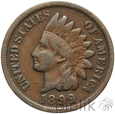 306. USA, 1 cent, 1899, Indianin
