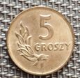 5 groszy 1949 Brąz