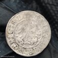półgrosz 1501 do 1506, Kraków, Aleksander Jagiellończyk