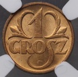 1 grosz 1937 NGC MS 65 RD