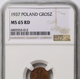 1 grosz 1937 NGC MS 65 RD