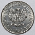 Próba Nikiel 10 Złotych 1960 Kościuszko