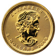 Kanada 5 dolarów Liść Klonowy 2019 1/10 uncji