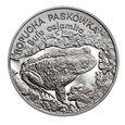20 zł Ropucha Paskówka 1998