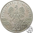 III RP, 20 złotych, 1995, Sum 