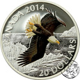 Kanada, 20 dolarów, 2014, Bielik amerykański, uncja 