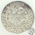 Polska, Zygmunt II August, półgrosz litewski, 1559, NGC AU 55