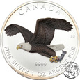 Kanada, 5 dolarów, 2014, Bielik amerykański,  uncja srebra