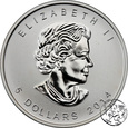 Kanada, 5 dolarów, 2014, Bielik amerykański,  uncja srebra