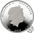 Australia, 1 dolar, 2019, Rok Świni, kolorowana, proof, uncja srebra