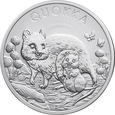 zdjęcie główne