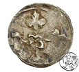 Niemcy, Brandenburgia, denar, Waldemar (1309-1319)