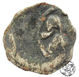 Pomorze Dymin, denar XIV wiek
