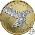 Kanada, 5 dolarów, 2015, Myszołów rdzawosterny, uncja srebra