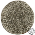 Prusy Książęce, Albert Hohenzollern, 1542 grosz