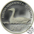 Polska, Kołbaskowo, 5 nurtów, 2009, Fauna Nadodrza - Gęgawa