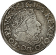 Polska, Zygmunt I Stary, Gdańsk, trojak, 1537, wariant