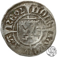 Pomorze, szeląg, 1492, Bogusław X, Gardziec