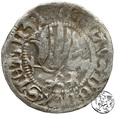 Pomorze, szeląg, 1492, Bogusław X, Gardziec