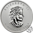 Kanada, 5 dolarów, 2014, Sokół wędrowny,  uncja srebra