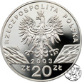 III RP, 20 złotych, 2003, Węgorz europejski