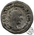 Rzym, Trajan Decjusz (249–251), antoninian