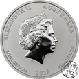 Australia, 50 centów, 2019, Rok Świni, kolorowana, 1/2 uncji srebra