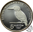 Polska, Kołbaskowo, 5 nurtów, 2009, Fauna Nadodrza - Zimorodek