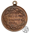 Polska, medalik patriotyczny 1913, 50 rocznica Powstania Styczniowego