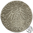 Prusy Książęce, Albert Hohenzollern, 1545 grosz