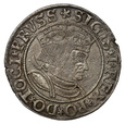 Polska, grosz, 1533, Zygmunt I Stary, Toruń