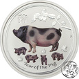 Australia, 50 centów, 2019, Rok Świni, kolorowana, 1/2 uncji srebra