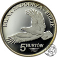 Polska, Kołbaskowo, 5 nurtów, 2008, Fauna Nadodrza - Bielik