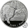 zdjęcie główne