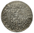 Polska, Zygmunt III Waza, półtorak, 1619, Bydgoszcz