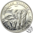 Somalia, 100 szylingów, 2015, Słonie, uncja srebra
