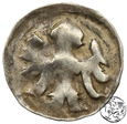 Niemcy, Niemcy, Brandenburgia - Dynastia Askańska, denar