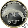 Polska, Kołbaskowo, 5 nurtów, 2009, Fauna Nadodrza - Traszka