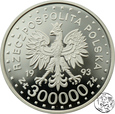 III RP, 300000 złotych, 1993, Zamość 