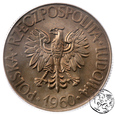PRL, 10 złotych Kościuszko, 1960, PCGS MS 64
