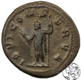 Cesarstwo Rzymskie, antoninian, Galien (253–268)