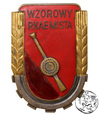 Polska, PRL, odznaka, Wzorowy Rkaemista, wz. 1951, seria 6