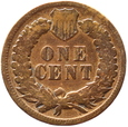 USA - 1 CENT - INDIANIN - 1895 (1)