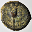 Judea Jan Hirkan 135-104 r.p.n.e. prutah st.3-/3