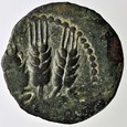 Judea Herod I Agryppa 37-43 r.n.e prutah st.3+