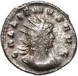 Galien - Antoninian 260-268 - VIRTVS AVG - Legionista - Rzym - Srebro