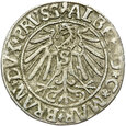 Prusy Książęce - Albrecht - Grosz 1543 - Srebro - STAN !