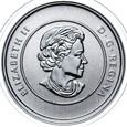 Kanada - 20 Dolarów 2011 - Liście klonowe - Srebro 999 - Stan UNC
