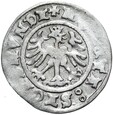 Polska - Zygmunt I Stary - Półgrosz 1509 - Kraków - Srebro